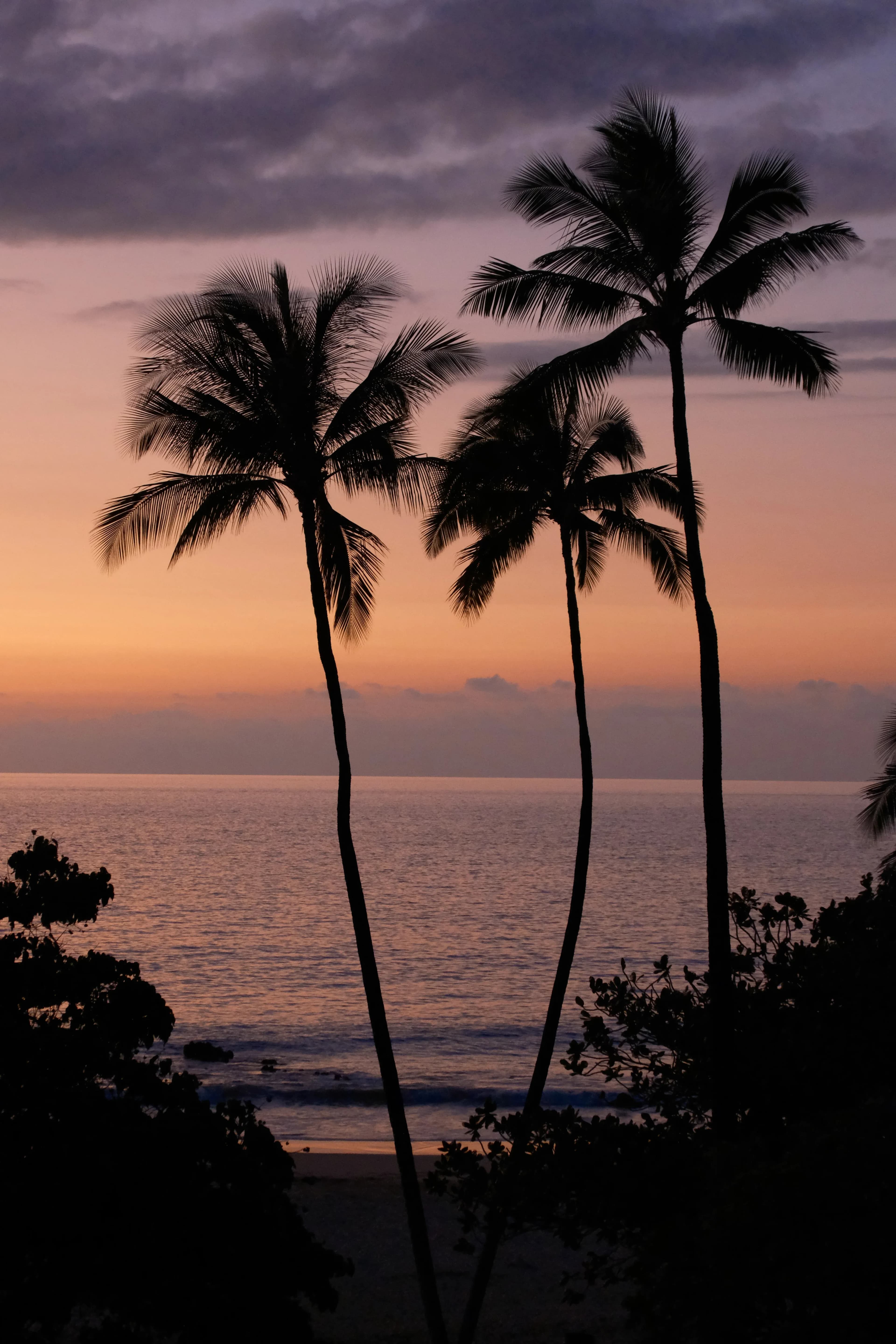Hawaii